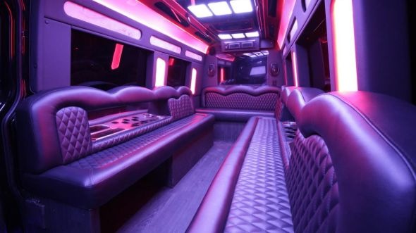fond du lac sprinter limo rental rental